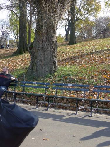 USA_2011-11-20 12-31-41